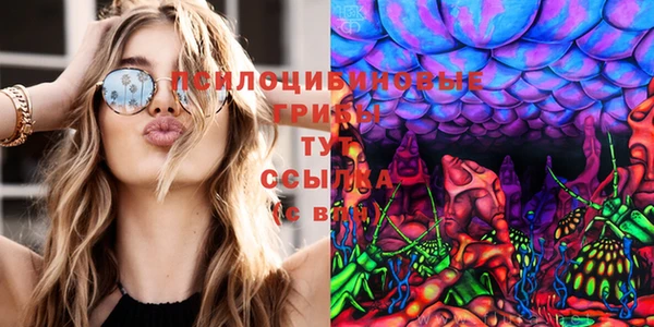 МДПВ Балахна
