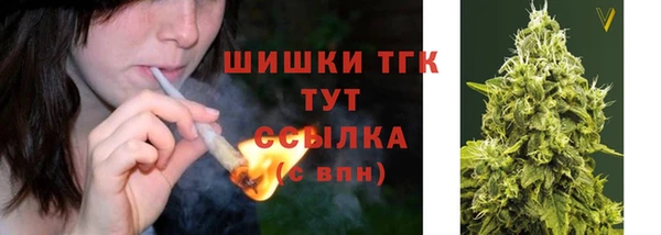 прущая мука Арсеньев