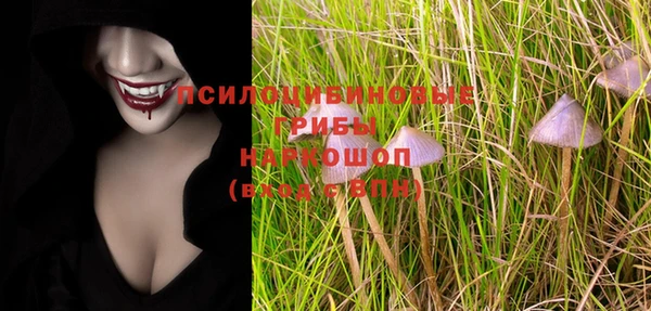 прущая мука Арсеньев