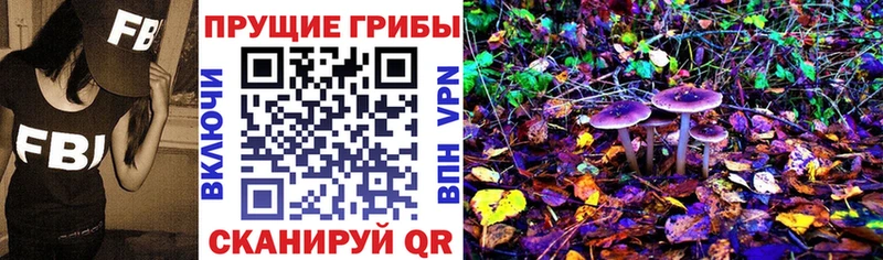Галлюциногенные грибы Cubensis  Реж 